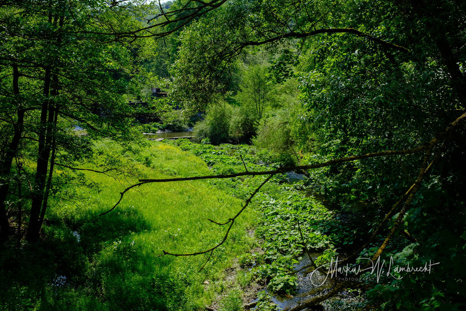Marsberg Diemelradweg